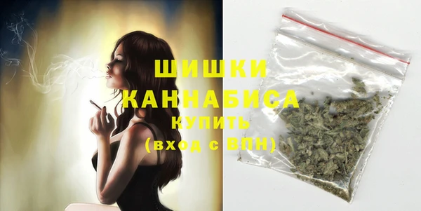 крисы Надым