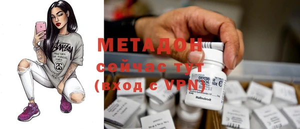 прущие грибы Богданович