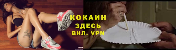 крисы Надым