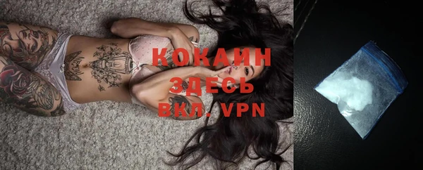 крисы Надым