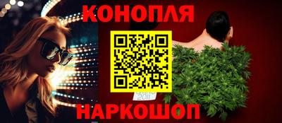 шишки Изобильный