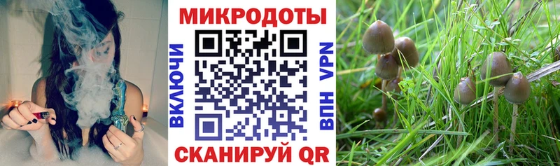 Галлюциногенные грибы MAGIC MUSHROOMS  маркетплейс формула  Изобильный 