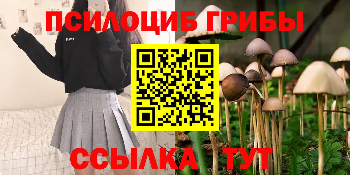 Галлюциногенные грибы Psilocybine cubensis Изобильный